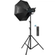 Студійне світло Puluz Softbox Kit (PKT3108EU) [168663] - зображення 1