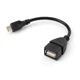 Переходник OTG USB 2.0 AF to Micro 5P 0.15m Vinga (VCPDCOTGMBK) - изображение 1