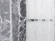 Тюль (4х2.7м.) жаккард. Цвет белый. Код 2098т 42-1321 - изображение 6