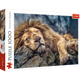 Puzzle Trefl Śpiący lew 1000 elementów (10447) - obraz 2