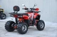 Квадроцикл Spark SP125-15 (заводская упаковка) (Красный) - изображение 13