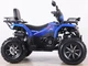 Квадроцикл Spark SP200-10Е (заводське паковання) (Синій) - зображення 7