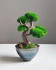 Мини-бонсай из стабилизированных растений 18х13,5 см - изображение 3