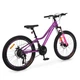 Велосипед горный подростковый 24" Profi Balance AM DD алюминиевая рама 11" на рост 125-150 см сливовый (BL-24006) - изображение 4