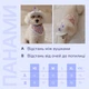 Панама для собак Hat-Dog Джинс XXL - изображение 4