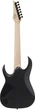 Электрогитара Ibanez RGA742EX-BAM - изображение 2