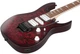 Электрогитара Ibanez RG470DXW-WZM - изображение 4
