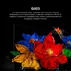 Телевизор TCL QLED 40" 40S5L - изображение 11