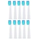 Насадки для звуковой зубной щетки Seago SG-507/515/551/575/910/958/949 White 10 штук - изображение 1