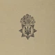 Футболка з малюнком P1G NGU Logo Tan 499 2XL (UA281-29898-TN-NGL) - изображение 2