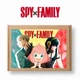 Подарунковий набір бокс Аніме Сім'я шпигуна Spy x family (СШ21703) - зображення 1