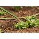 Поливочный шланг 2E AquaFlex Emerald Pro, 1/2", 30м, 4 слоя, 20бар, -10…+60°C, ороситель, 2 коннектора, адаптер (2E-GHE12ED30) 2E 2E-GHE12ED30 1060801 - изображение 4