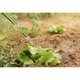 Поливочный шланг 2E AquaFlex Emerald Pro, 1/2", 30м, 4 слоя, 20бар, -10…+60°C, ороситель, 2 коннектора, адаптер (2E-GHE12ED30) 2E 2E-GHE12ED30 1060801 - изображение 5