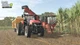 Гра PC Farming Simulator 25: Beans & Alpacas Edition (DVD + електронний ключ) (4064635101262) - зображення 13