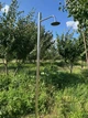 Солнечный садовый душ, для дачи, бассейна, уличный душ - изображение 2