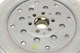 Демпфер сцепления Audi Q3 2.0TDI quattro, 11-18, S tronic/DSG7-0BT/0BH (DQ500) 415087709 , Schaeffler LuK - изображение 3