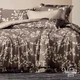 Комплект постельного белья Viluta евро Satin Twill 823 100% хлопок - изображение 1
