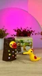 Игра магнитная "накорми птенца" - изображение 2