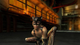 Гра Sony PlayStation 2 Catwoman Europe Англійська Версія Б/У - зображення 3