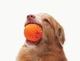 Интерактивная игрушка для собак Cheerble Wicked Ball Air Bright Orange (CWQ01O) - изображение 7