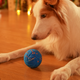 Інтерактивна іграшка для собак Cheerble Wicked Ball Air Royal Blue (CWQ01B) - зображення 13