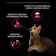 Сухой корм для стерилизованных кошек Purina Pro Plan Sterilised Adult 1+ Savoury Duo с треской и форелью 1.5 кг - изображение 5