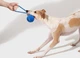 Інтерактивна іграшка для собак Cheerble Wicked Ball Air Rope Royal Blue (CWQ03B) - зображення 3