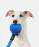 Інтерактивна іграшка для собак Cheerble Wicked Ball Air Rope Royal Blue (CWQ03B) - зображення 6