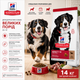 Сухий корм для дорослих собак великих порід Hill's Science Plan Adult Large Breed з ягнятком та рисом 14 кг - зображення 1