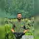 Саджанці Пеннісетума лисохвостовидного Хамелн (Pennisetum alopecuroides Hameln) - зображення 5