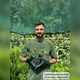 Саджанці Бересклету Форчуна Емеральд Гаєті (Euonymus fortunei Emerald Gaiety) Р9 - зображення 4