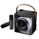 Портативна колонка система караоке Bluetooth BOROFONE DR23 Deep RGB з 2-ма мікрофонами 15W Black - изображение 2