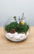 Кругле скляне кашпо з стабілізованим мохом "Лісова галявинка", діаметр 9 см, колір темно-зелений з жовтим - зображення 5