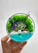 Круглый флорариум с суккулентами "Нежность", диаметр 9 см - изображение 4