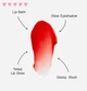 Увлажняющий тинт 4в1 Dr. Lipp 100% Natural Moisturising Colour Lip Tint Red Radish 8ml - изображение 4