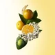 Гель для душа Molton Brown Orange & Bergamot Bath & Shower gel 100ml - зображення 2