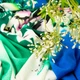 Ткань трикотаж Flora IDEIA 230 гр/м2 150 см, трикотаж для платьев, блузок и вечерней одежды зеленый м.п. - изображение 6