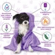 Espree Calming Lavender & Chamomile Dog Shampoo&Conditioner заспокійливий шампунь-кондиціонер для собак, 591 мл - зображення 3