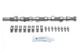Розподільний вал Citroen Berlingo/Peugeot Partner/Boxer 2.0 HDi 99-, DW10TD, 66kw (к-кт) 428003430 , Schaeffler INA - зображення 1