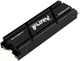 Накопитель SSD 1TB Kingston Fury Renegade with Heatsink M.2 2280 PCIe 4.0 x4 NVMe 3D TLC (SFYRSK/1000G) - изображение 2
