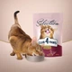Сухой корм для кошек Club 4 Paws Премиум. С уткой и овощами 300 г (4820215365451) - изображение 8