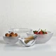 Хрустальная чаша Essense Sandblasted Nude Glass (1049892) - изображение 2