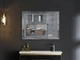 Дзеркало MIXXUS STYLE MR13-80x60-REVERSE з LED Touch, Anti-fog, димером, рег. яскравості (MI6666) - изображение 9