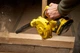 Воздуходувка аккумуляторная Stanley FatMax SFMCBL01B - изображение 9