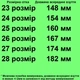 Ботинки зимние 01202 для мальчиков черно-синие, эко кожа. Размер 23 - изображение 2