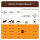 CLUB 4 PAWS Kittens Salmon - сухий корм з лососем для кошенят - зображення 2