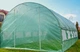 Велика теплиця для городу та саду 6х3х2 м Avko Garden 18 м² металевий каркас із оцинкованих труб, армована плівка, двері на блискавці, вікна з москітними сітками ( 12 шт) - зображення 6