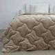 Одеяло ТЕП. Velour золотой беж зимнее-180х210 - изображение 1