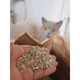 Наполнитель Biokats Diamond Fresh для кошачьего туалета, бентонитовый, 8 л - изображение 4