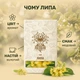 Чай Липа 40 г - изображение 2